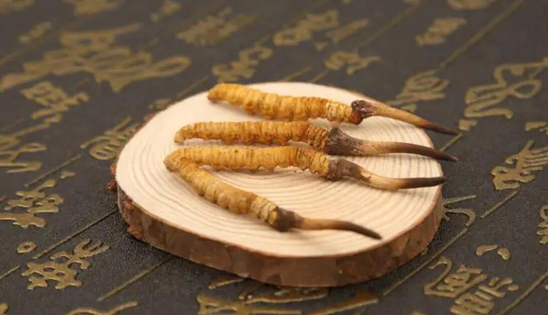 我在西藏那曲挖蟲(chóng)草：1根只要10塊錢(qián)？