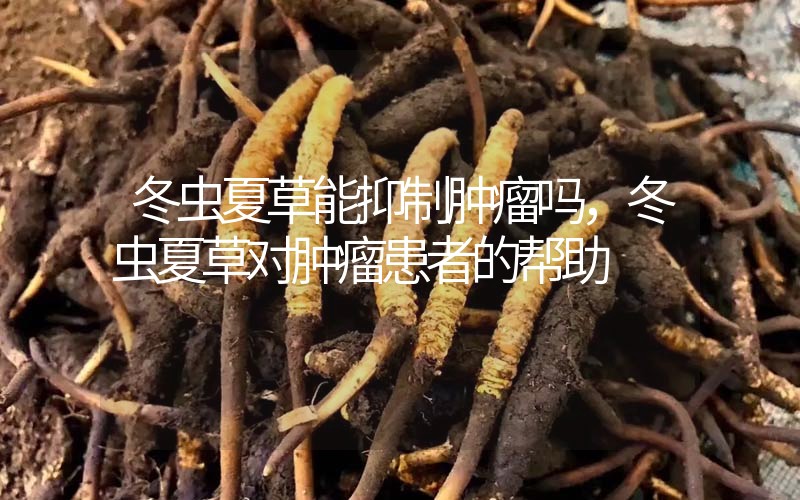冬蟲(chóng)夏草能抑制腫瘤嗎？冬蟲(chóng)夏草對(duì)腫瘤患者的幫助