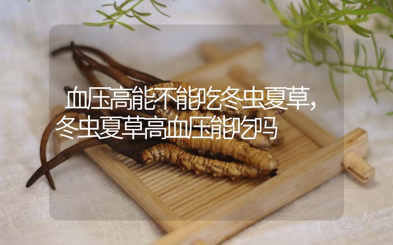 血壓高能不能吃冬蟲(chóng)夏草，冬蟲(chóng)夏草高血壓能吃嗎？