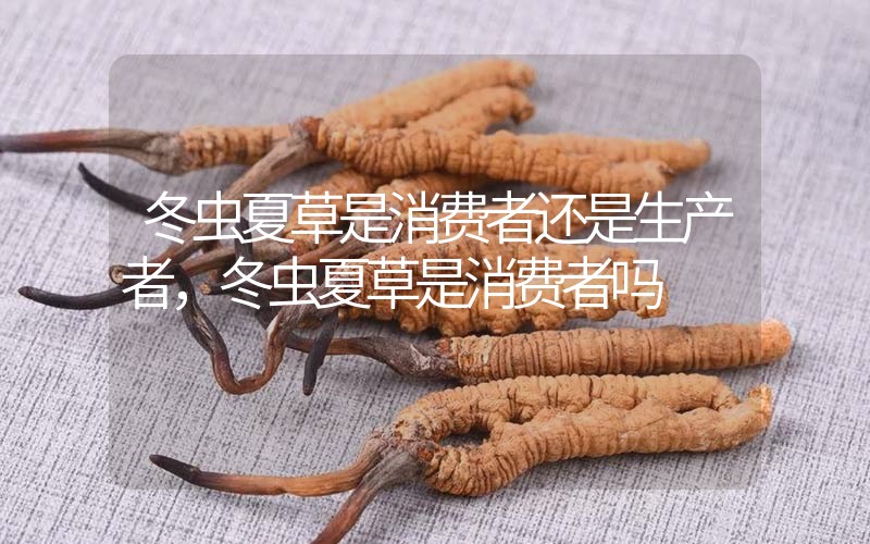 貧血吃冬蟲夏草有效果嗎，貧血虛弱者可以用冬蟲夏草嗎？