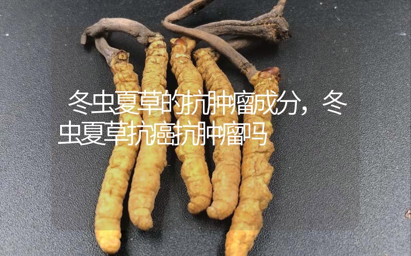 冬蟲夏草的抗腫瘤成分，冬蟲夏草抗癌抗腫瘤嗎？