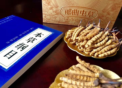 冬蟲夏草真就那么好嗎？它的主要功能是什么呀