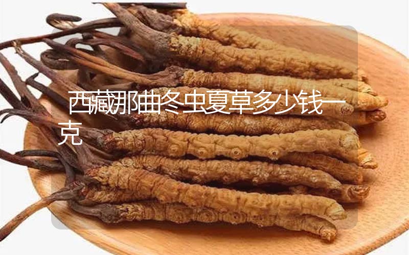 西藏那曲冬蟲夏草多少錢一克？
