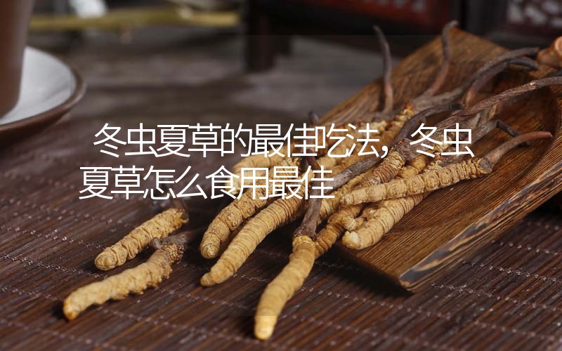 冬蟲(chóng)夏草的最佳吃法，冬蟲(chóng)夏草怎么食用最佳