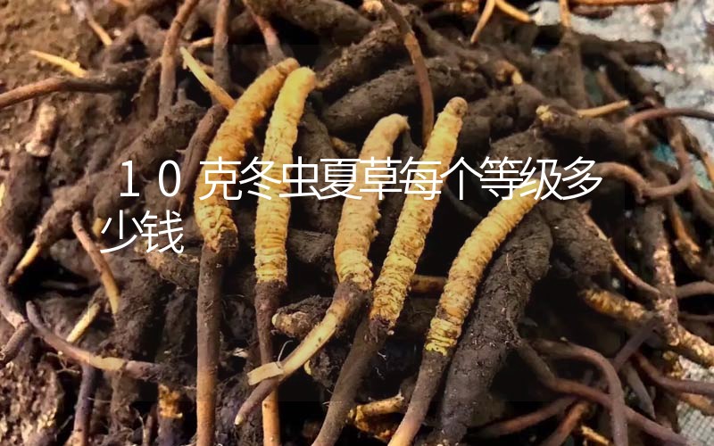 10克冬蟲夏草每個等級多少錢？
