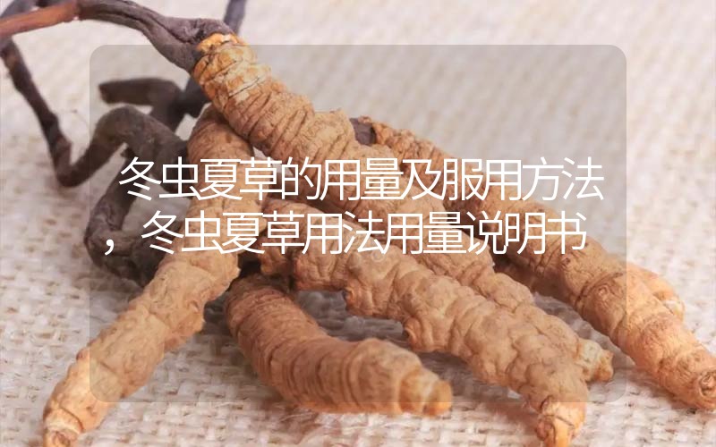 冬蟲(chóng)夏草的用量及服用方法，冬蟲(chóng)夏草用法用量
