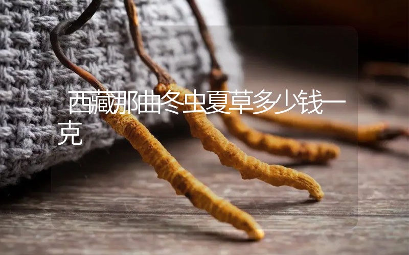 西藏那曲冬蟲夏草多少錢一克？
