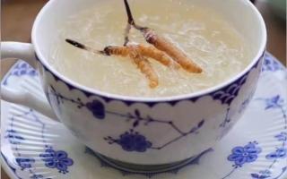 端午節(jié)應該怎么吃冬蟲夏草？