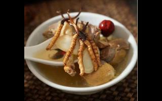 冬蟲(chóng)夏草為什么賣(mài)的貴？原因是什么？