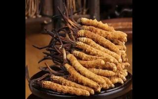 影響冬蟲(chóng)夏草的價(jià)格因素有哪些？