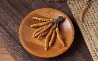 新手應(yīng)如何辨別真假冬蟲(chóng)夏草？