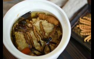 冬蟲(chóng)夏草怎么食用？解鎖滋補(bǔ)養(yǎng)生的正確打開(kāi)方式