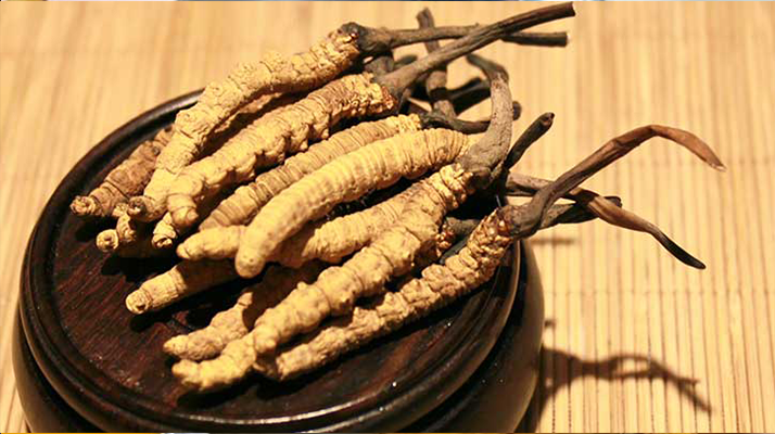 未來(lái)冬蟲夏草會(huì)漲價(jià)嗎？