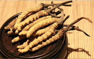 未來(lái)冬蟲夏草會(huì)漲價(jià)嗎？