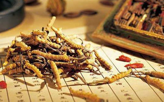 同仁堂健康冬蟲夏草：傳承品質(zhì)，饋贈健康