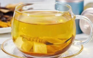 新鮮冬蟲夏草能泡茶嗎？一文讀懂養(yǎng)生新方式