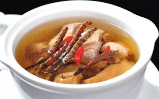 冬蟲夏草煲湯的最佳季節(jié)，喝對事半功倍