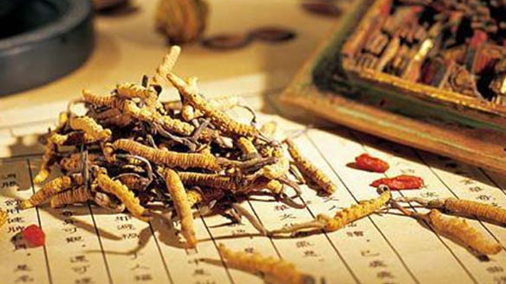 長期吃冬蟲夏草的好處：傳統(tǒng)滋補(bǔ)與現(xiàn)代健康的奇妙碰撞