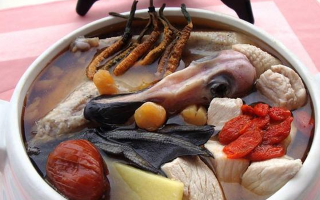 冬蟲夏草配什么煲湯好？營養(yǎng)美味的搭配指南