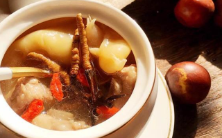 冬蟲夏草與什么泡水喝？養(yǎng)生搭配指南