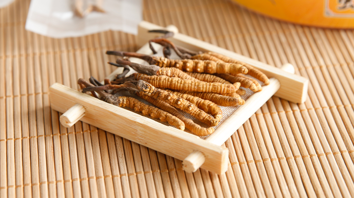 1 克冬蟲(chóng)夏草大概有幾根