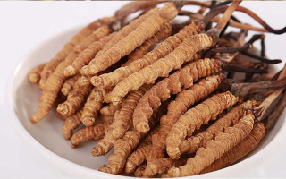 野生鮮那曲冬蟲夏草：雪域高原的時令滋補(bǔ)珍品