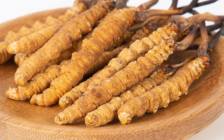 冬蟲夏草怎么驗(yàn)真假？教你幾招秒判斷真?zhèn)蚊丶?> </div>
            <div   id=