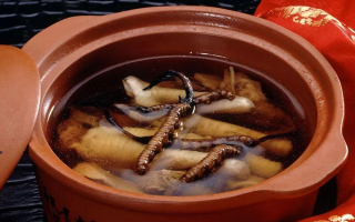 糖尿病可服用冬蟲夏草嗎？科學(xué)解析其調(diào)理價(jià)值與注意事項(xiàng)