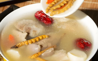 老人可以喝冬蟲夏草茶嗎？科學(xué)飲用的養(yǎng)生指南