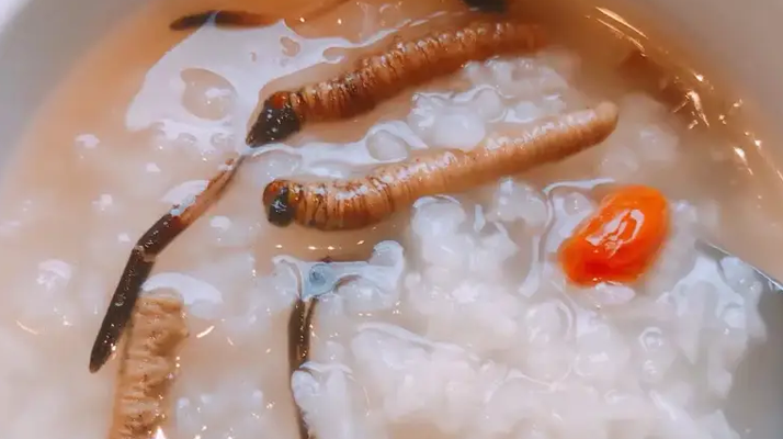 冬蟲夏草適合哪些人群？精準(zhǔn)匹配與禁忌提醒