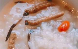 冬蟲夏草適合哪些人群？精準匹配與禁忌提醒