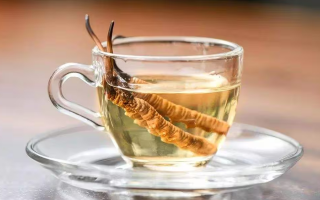 一瓶酒泡多少冬蟲夏草？科學(xué)搭配有講究