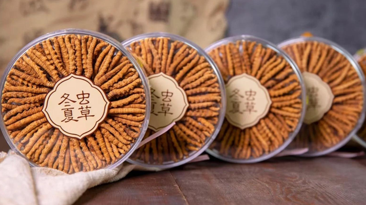 把握黃金時段！冬蟲夏草在這些時候吃效果更佳