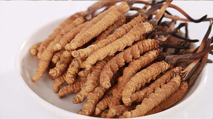 冬蟲夏草一公斤多少錢？多因素交織下的價(jià)格密碼