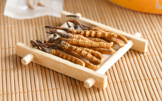 這些藥材形似冬蟲夏草，辨別要點需牢記