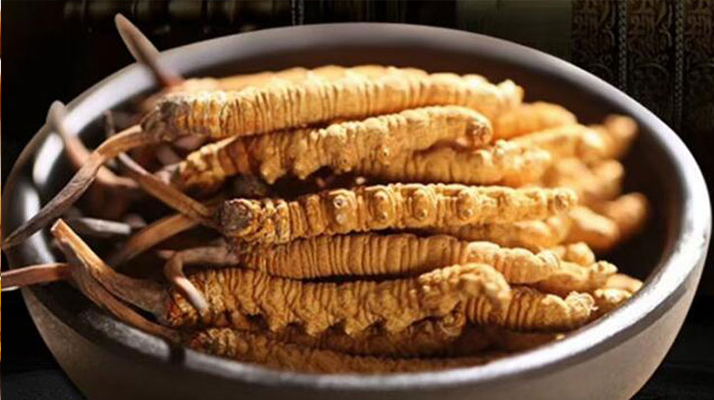 冬蟲(chóng)夏草效果好不好用？科學(xué)與實(shí)踐視角下的全面解析