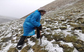 西藏挖冬蟲夏草在什么時候？產(chǎn)區(qū)與時間全攻略