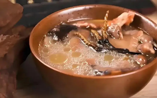 冬蟲夏草治什么病效果好？厘清輔助調(diào)理邊界與適用場景