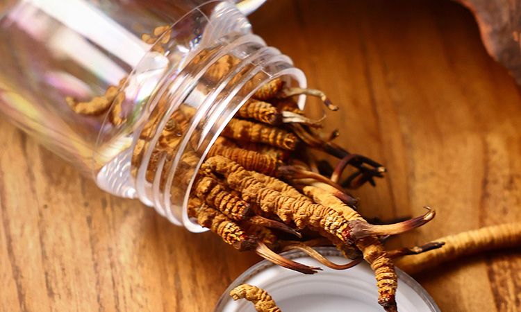 <a href=http://m.shjiuxinzc.com/jiage/ target=_blank class=infotextkey>冬蟲夏草多少錢</a>一條 