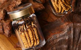 鮮冬蟲夏草泡水后怎么保存？3 種場(chǎng)景保存方法 + 避坑指南