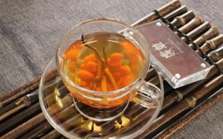 秋季進補別瞎忙！4 道冬蟲夏草配方，簡單又管用