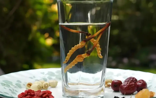 人參配蟲草泡酒，泡多久才好喝？咱跟你說實在的