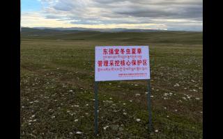 高原之上，蟲草共生；守護(hù)生態(tài)，東強(qiáng)堂與你同行