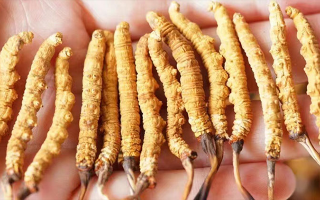 四歲寶寶能吃冬蟲夏草嗎？藏農(nóng)神草：科學(xué)滋養(yǎng)，守護(hù)孩童成長(zhǎng)元?dú)?> </div>
            <div   id=